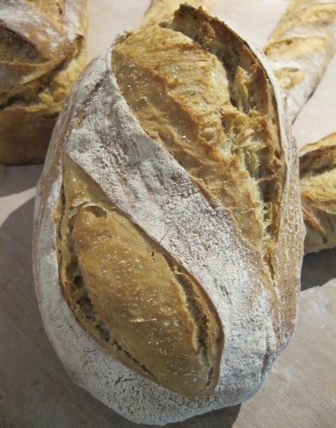 pain-tradition-boulangerie_202935229